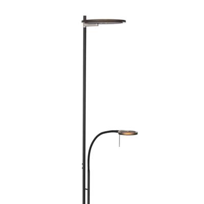 Steinhauer Led leeslamp 2-lichtsTuround 40w - 2200-4000K - 187cm zwart smoke glas - 2989ZW