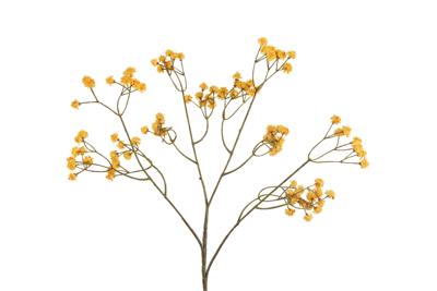 Decostar Countryfield Kunstbloem Gypsophila oranje