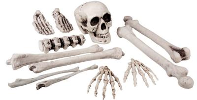 Set Doodshoofd Met Beenderen (12st)