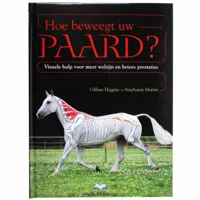 Hoe beweegt uw paard? maat:-leeg- - thumbnail