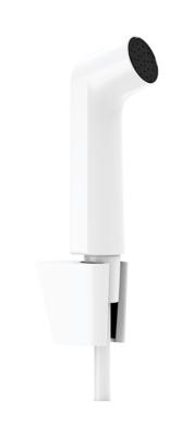 Hansgrohe bidethanddouche 1jet EcoSmart met Porter S douchehouder en doucheslang 125 cm, mat wit