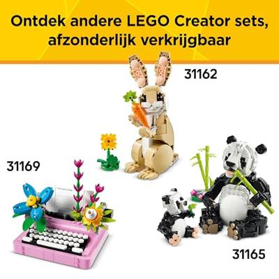 LEGO Creator 3-in-1 speelse kat 31163