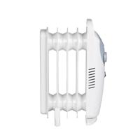 RAD500 radiator - thumbnail