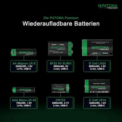 PATONA 9V blok rookmelder accu's 3,6Wh (2-pack), oplaadbaar via USB-C (500mA), USB-C oplaadkabel met 2 aansluitingen voor afstandsbedieningen, draadloze microfoons, wekker en zaklamp
