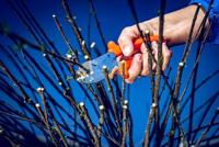 Original Lowe Snoeischaar | totale lengte 175 mm | snijvermogen 16 mm m. ku-grepen | met kunststof grepen | 1 stuk - 5.107 - 5.107 - thumbnail