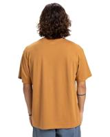 Quicksilver Salt Water T-shirt - thumbnail