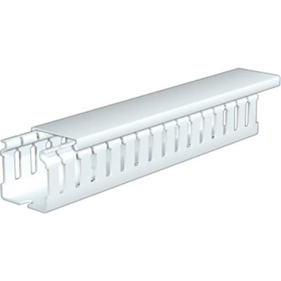 Weidmüller 2589780000 Kabelgoot (l x b x h) 2 m x 50 mm x 75 mm 12 stuk(s) Lichtgrijs