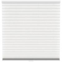 Fenstr plisségordijn Chicago dubbel 45mm lichtdoorlatend - off-white (10717) - Leen Bakker - thumbnail