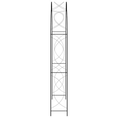 VidaXL Tuinboog 150x34x240 cm ijzer zwart