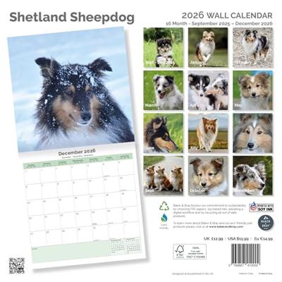 Shetland Sheepdog Kalender 2026