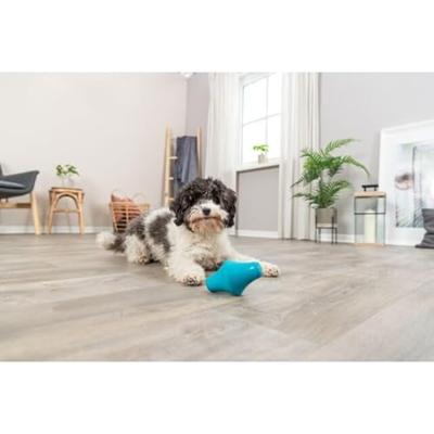TRIXIE SNACKTOL NATUURRUBBER PETROL 12 CM