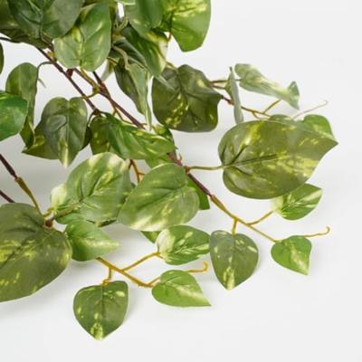 Kunstplant mica scindapsus hangend groen Kunstplant mica scindapsus hangend groen