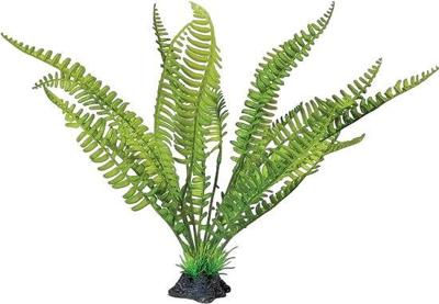 Plant standing fern Repto - Repto Plant standing fern Repto - Repto