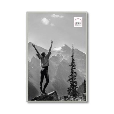 Haes Deco Kunststof Fotolijst EF9S Easy Frame Zilver 40x60 cm