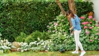 Bosch Home and Garden EasyGrassCut 18V-26 Grastrimmer Accu Incl. accu, Incl. oplader 18 V 2.5 Ah Snijbreedte max.: 26 mm - thumbnail