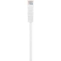 Renkforce RF-5043844 RJ45 Netwerkkabel, patchkabel CAT 5e U/UTP 0.15 m Wit Snagless 1 stuk(s) - thumbnail