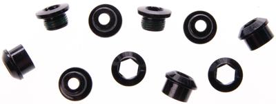 TRUVATIV kettingbladbouten chain ring screw 1sp eagle e-mtb steel