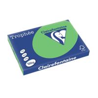 Clairefontaine Trophée Intens, gekleurd papier, A3, 120 g, 250 vel, grasgroen - thumbnail