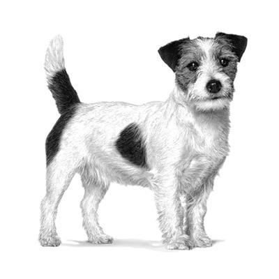 Royal Canin Veterinary Satiety Weight Management Small Dogs hondenvoer 3 kg - thumbnail