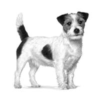 Royal Canin satiety weight management small hondenvoer 3kg zak - thumbnail