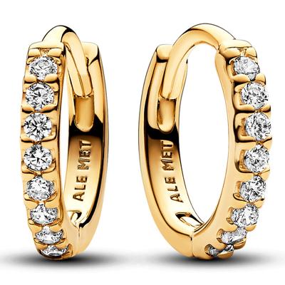 Oorbellen Dames Pandora 263015C01 Oorbellen Dames Pandora 263015C01