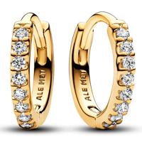 Oorbellen Dames Pandora 263015C01 - thumbnail