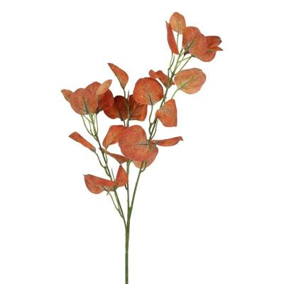 Kunstblad Eucalyptus bruin