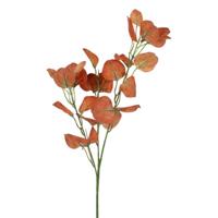 Kunstblad Eucalyptus bruin - thumbnail