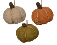 Pompoen Vilt Assorti 1st - thumbnail