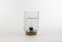 lantern Glass 12 x 17,5 cm Clear With Golden Base Led Bulb Anna's Collection - Annas collection - thumbnail