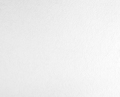 AS Creation MeisterVliesbehang 7 - Overschilderbaar - 265616