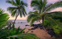 Komar Stefan Hefele; Komar Wanderlust Fotobehang Hawaiian Dreams - SHX9-116 - thumbnail