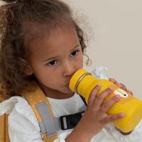 Trixie drinkfles mr. lion, 350ml - thumbnail