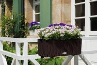 Jardiniere - Balconera cottage 50 - Complete kit - Moka - 8 L - LECHUZA - thumbnail