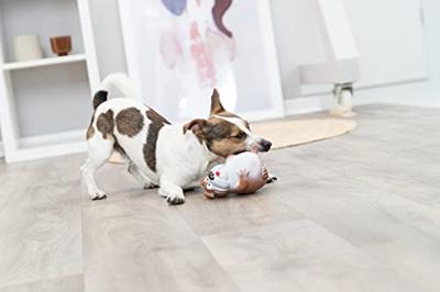 TRIXIE HOND LATEX ASSORTI 14 CM 3 ST TRIXIE HOND LATEX ASSORTI 14 CM 3 ST