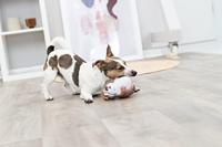 TRIXIE HOND LATEX ASSORTI 14 CM 3 ST - thumbnail