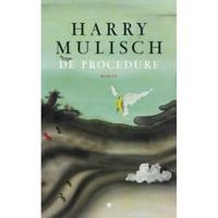 Harry  Mulisch De procedure - thumbnail