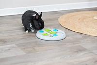 Trixie slide&funboard kunststof - thumbnail