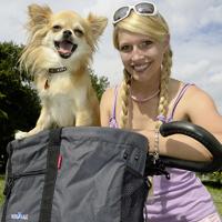 Klickfix Rixen & kaul mandtas, voorop "doggy" basket bag r&k doggy grey - thumbnail