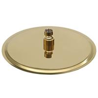 VidaXL Regendouchekop rond 25 cm roestvrij staal goudkleurig - thumbnail