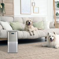 Invictus Luchtreiniger Air P7 - thumbnail