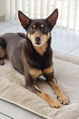 NANO BENCHKUSSEN ZAND 121X78X3,5