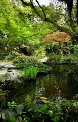 Alexsar Art Tuindoek vijver 90x140cm