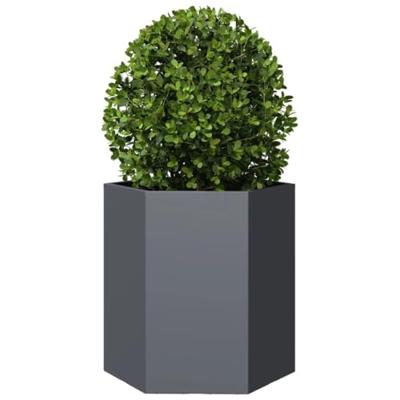 VidaXL Plantenbak zeshoek 46x40x45 cm staal antracietkleurig
