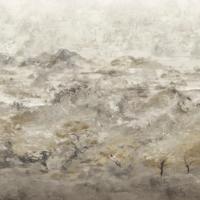 Dutch Wallcoverings Bellagio - Mural Brunate Mountain Shadow - thumbnail