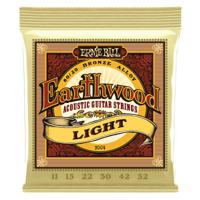 Ernie Ball Earthwood Acoustic 80/20 Light 2004 - thumbnail