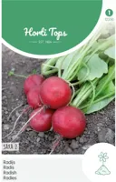 Zaden Radijs Saxa - 2 Hortitops - Hortitops - thumbnail