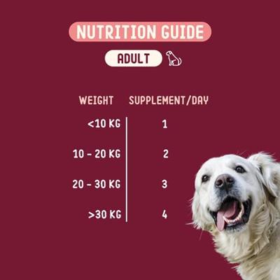 Imby Huid & Vacht supplement 90 chews