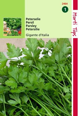 Zaden Peterselie Gigante d'Italia Hortitops - Hortitops