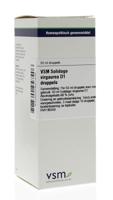 VSM Solidago virgaurea D1 50 Milliliter - thumbnail